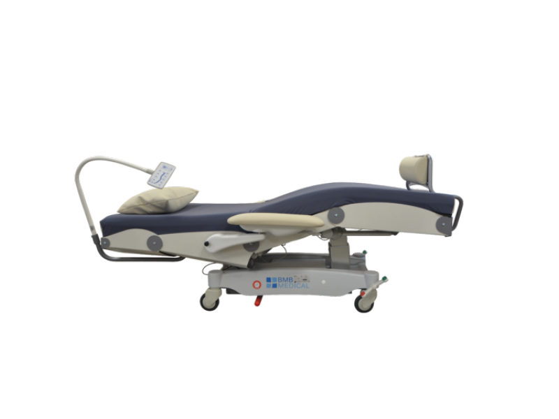 Dialysis Bed Chair Ergolys horizontal